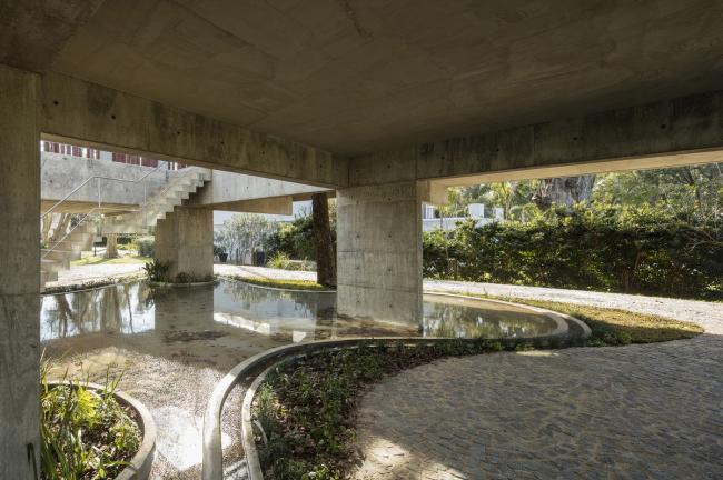 BIM建筑|与年夜树枝桠握手，混凝土打造的朴实之家 / Estudio Botteri-Connell