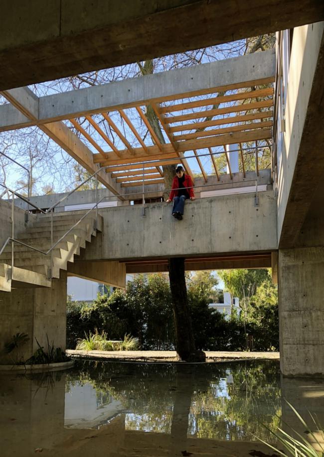 BIM建筑|与年夜树枝桠握手，混凝土打造的朴实之家 / Estudio Botteri-Connell