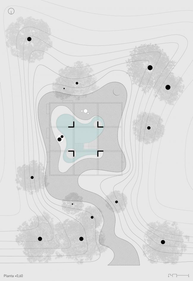 BIM建筑|与年夜树枝桠握手，混凝土打造的朴实之家 / Estudio Botteri-Connell