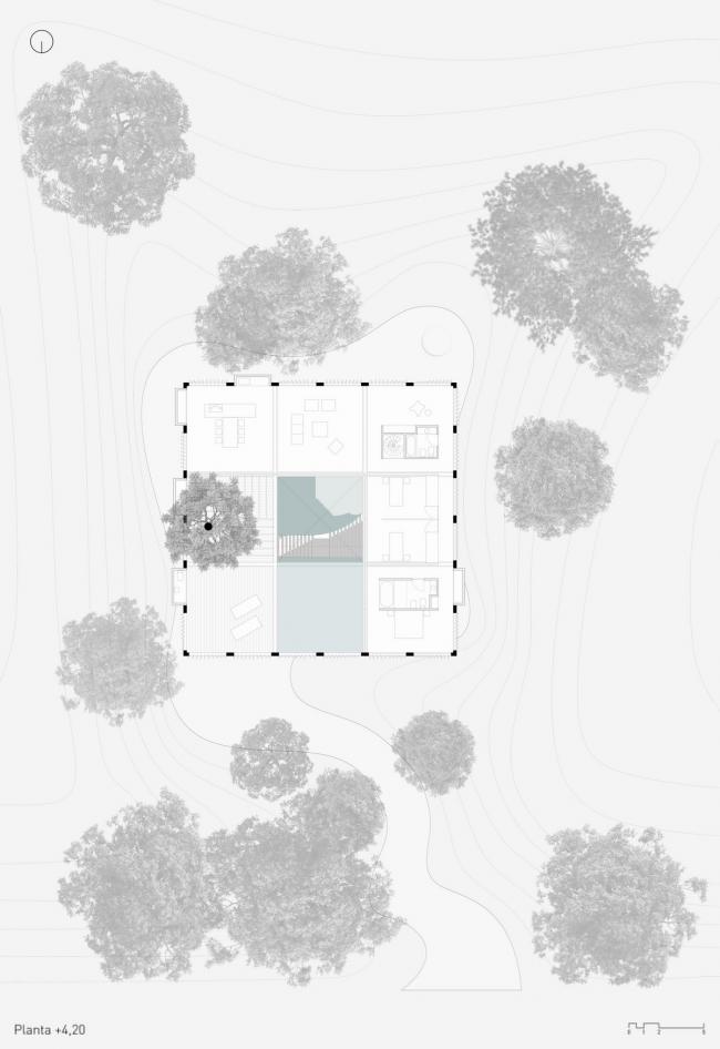 BIM建筑|与年夜树枝桠握手，混凝土打造的朴实之家 / Estudio Botteri-Connell