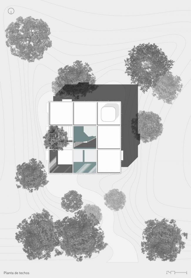 BIM建筑|与年夜树枝桠握手，混凝土打造的朴实之家 / Estudio Botteri-Connell