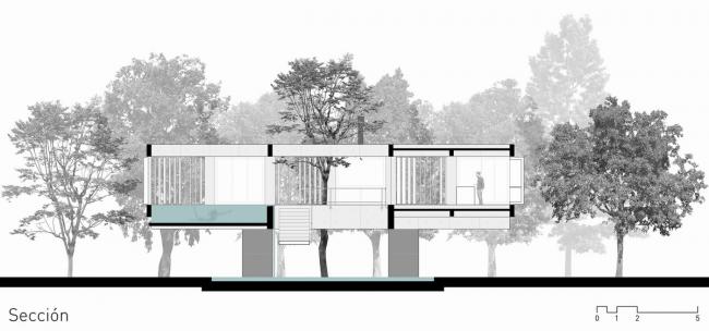 BIM建筑|与年夜树枝桠握手，混凝土打造的朴实之家 / Estudio Botteri-Connell