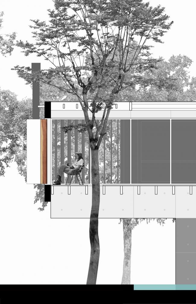 BIM建筑|与年夜树枝桠握手，混凝土打造的朴实之家 / Estudio Botteri-Connell