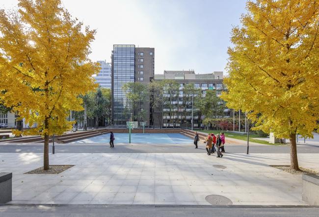 BIM建筑|重讲校园故事——北年夜附中本校及向阳将来黉舍两校园景不雅改革 / Crossboundaries