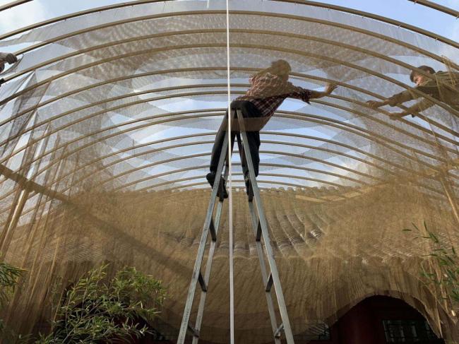 BIM建筑|传统中国元素的现代碰撞与感知：北京雀巢感 CAFÉ / RSAA/庄子玉工作室