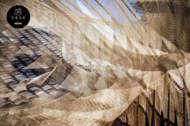 BIM建筑|传统中国元素的现代碰撞与感知：北京雀巢感 CAFÉ / RSAA/庄子玉工作室