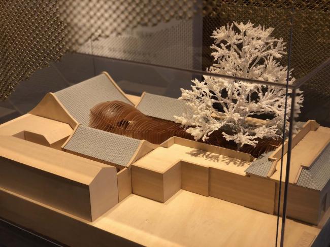 BIM建筑|传统中国元素的现代碰撞与感知：北京雀巢感 CAFÉ / RSAA/庄子玉工作室