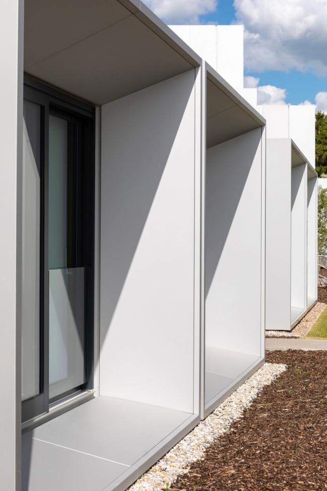 BIM建筑|如企鹅般蜂拥瞭看：戴森工程技巧学院 / WilkinsonEyre