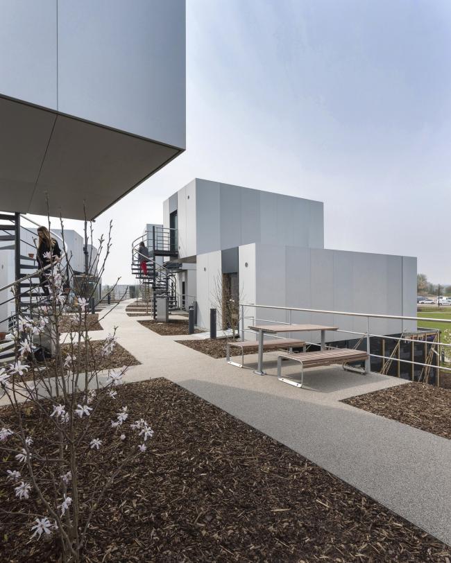 BIM建筑|如企鹅般蜂拥瞭看：戴森工程技巧学院 / WilkinsonEyre