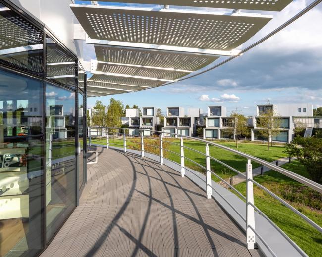 BIM建筑|如企鹅般蜂拥瞭看：戴森工程技巧学院 / WilkinsonEyre