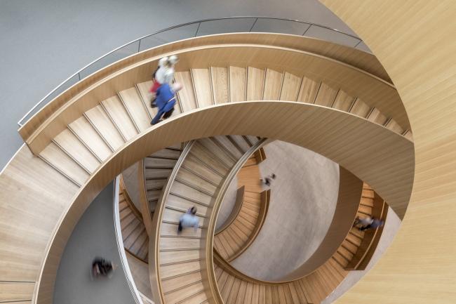 BIM建筑|如蝴蝶般轻巧展翅：国际奥林匹克委员会总部 / 3XN