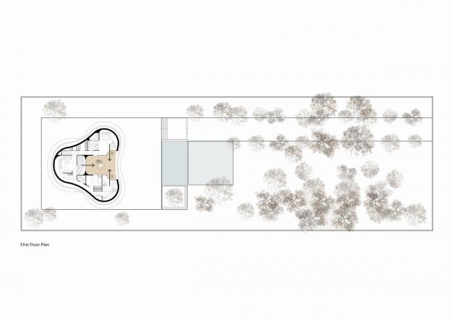 BIM建筑|伊朗经典建筑元素“四拱顶”的现代重组