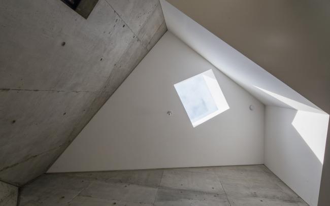 BIM建筑|背对背围绕一体的三角室第／Urban Agency