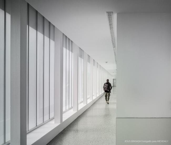 BIM建筑|如小伴侣般整洁排队：教师培训中间 / Ramón Fernández-Alonso