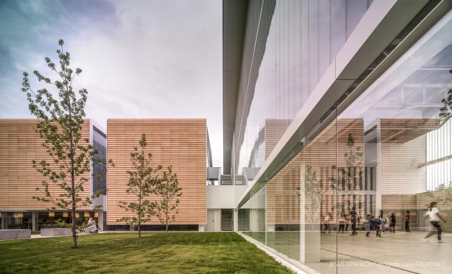 BIM建筑|如小伴侣般整洁排队：教师培训中间 / Ramón Fernández-Alonso