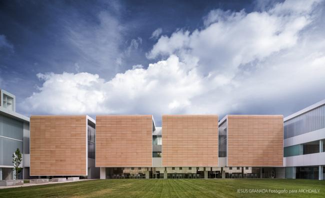 BIM建筑|如小伴侣般整洁排队：教师培训中间 / Ramón Fernández-Alonso