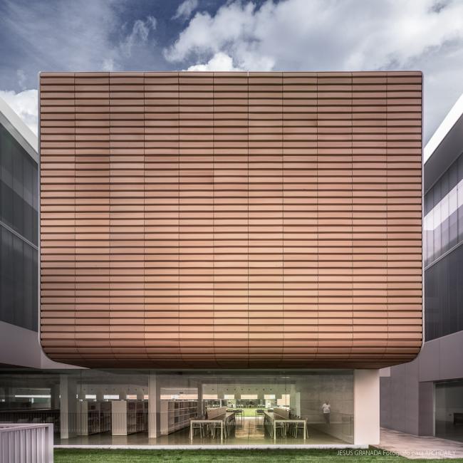 BIM建筑|如小伴侣般整洁排队：教师培训中间 / Ramón Fernández-Alonso