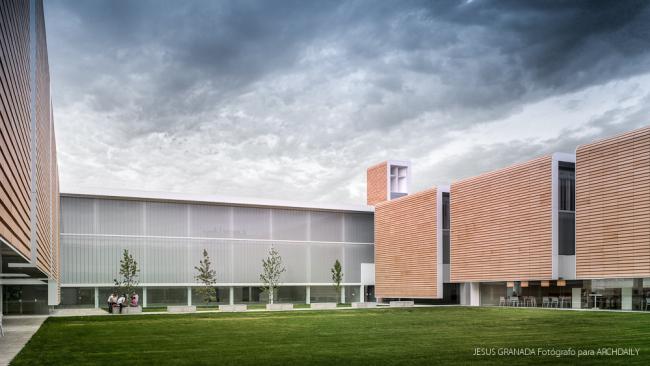 BIM建筑|如小伴侣般整洁排队：教师培训中间 / Ramón Fernández-Alonso