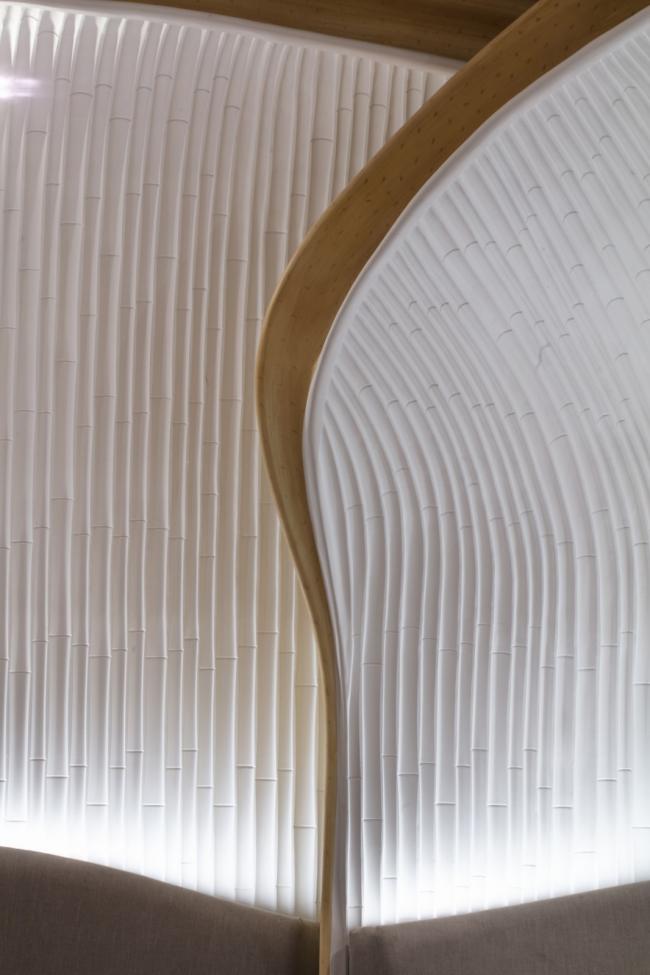 BIM建筑|奔腾而下的山间瀑布：郡安理国际会议中间 / Stylus studio