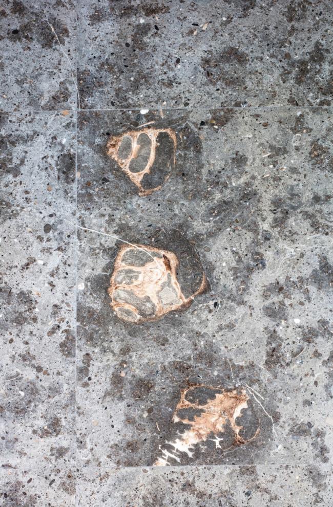 BIM建筑|奔腾而下的山间瀑布：郡安理国际会议中间 / Stylus studio