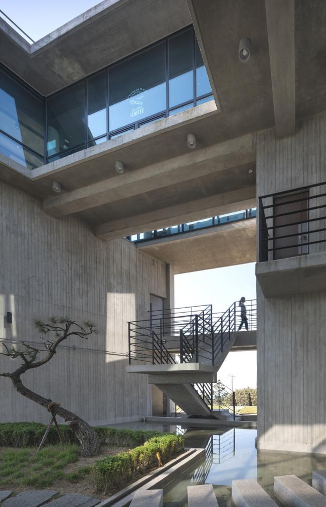 BIM建筑|朝阳东升，揽海天名胜：五角贸易楼 / ON Architecture