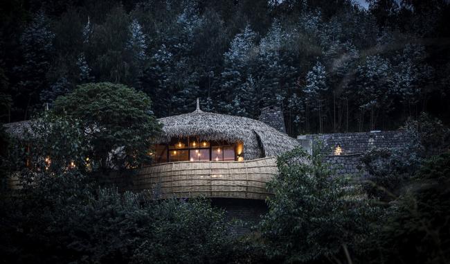 BIM建筑|隐于茂密森林中的奢华酒店——Bisate 度假屋 / Nicholas Plewman Architects