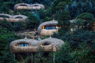 BIM建筑|隐于茂密森林中的奢华酒店——Bisate 度假屋 / Nicholas Plewman Architects-BIM建筑网