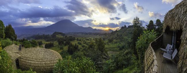BIM建筑|隐于茂密森林中的奢华酒店——Bisate 度假屋 / Nicholas Plewman Architects