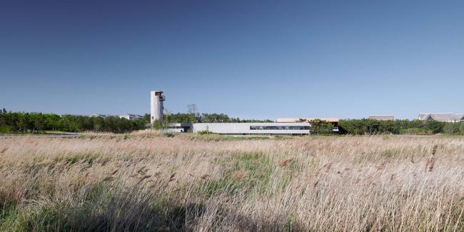 BIM建筑|天鹅湖湿地公园景不雅廊及不雅鸟塔 / 迹·建筑事务所