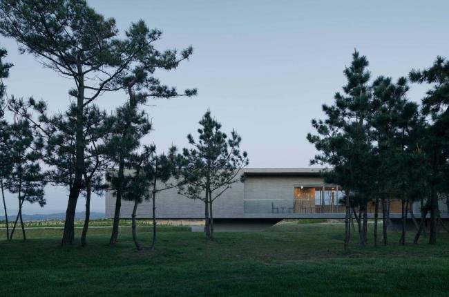 BIM建筑|天鹅湖湿地公园景不雅廊及不雅鸟塔 / 迹·建筑事务所