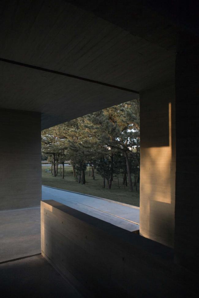 BIM建筑|天鹅湖湿地公园景不雅廊及不雅鸟塔 / 迹·建筑事务所