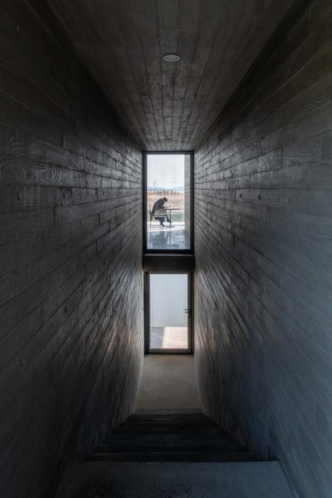 BIM建筑|天鹅湖湿地公园景不雅廊及不雅鸟塔 / 迹·建筑事务所