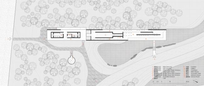 BIM建筑|天鹅湖湿地公园景不雅廊及不雅鸟塔 / 迹·建筑事务所