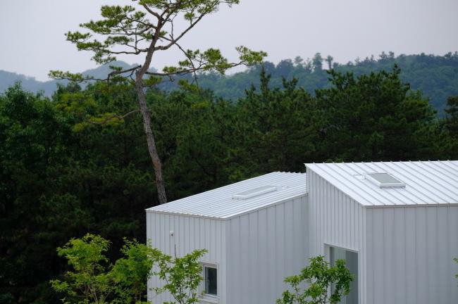 BIM建筑|碧湖之畔，丛林之间：飘浮立方体室第 / Younghan Chung Architects