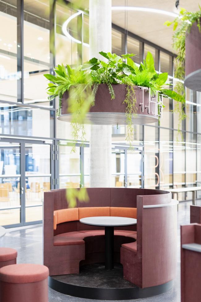 BIM建筑|如激流般肆意活动：Zalando 柏林办公总部 / HENN + Kinzo