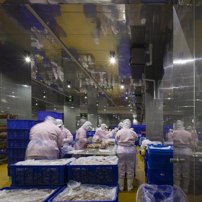 BIM建筑|奇特又慎重，如年夜山与泥土：台畜屏东农科厂 / 泽新建筑