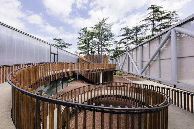 BIM建筑|10个特别坡道的做法