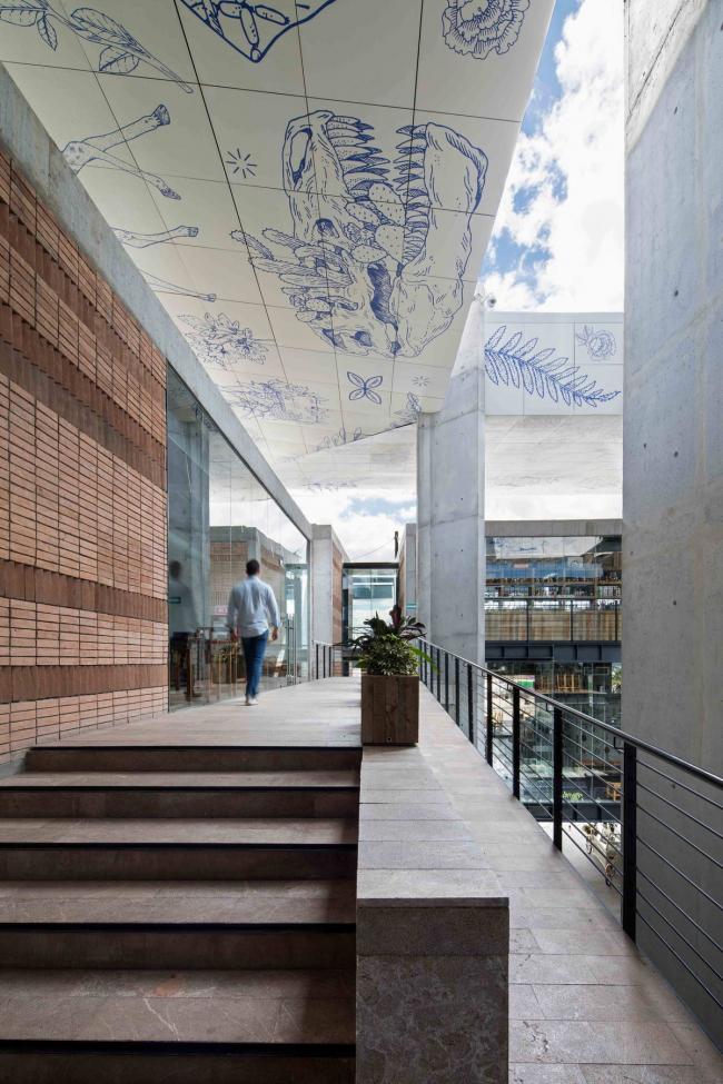 BIM建筑|10个特别坡道的做法