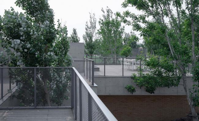 BIM建筑|海边 y 餐厅 / 直向建筑