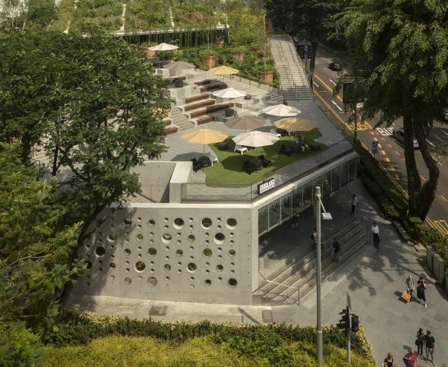 BIM建筑|郁郁葱葱的城市花圃：Design Orchard 孵化器 / WOHA