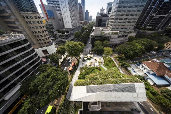 BIM建筑|郁郁葱葱的城市花圃：Design Orchard 孵化器 / WOHA