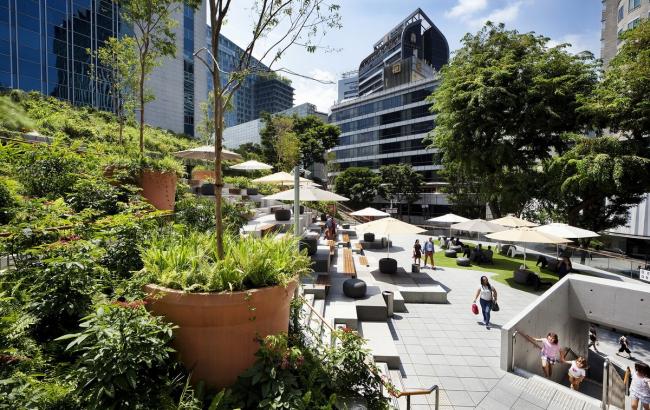 BIM建筑|郁郁葱葱的城市花圃：Design Orchard 孵化器 / WOHA