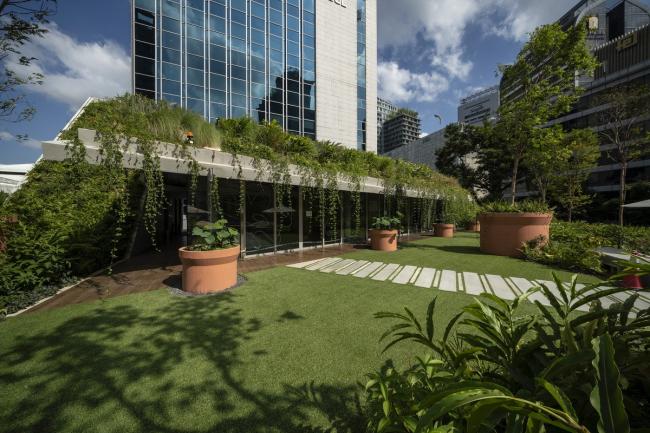 BIM建筑|郁郁葱葱的城市花圃：Design Orchard 孵化器 / WOHA