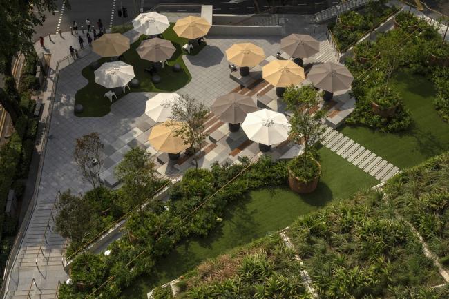 BIM建筑|郁郁葱葱的城市花圃：Design Orchard 孵化器 / WOHA