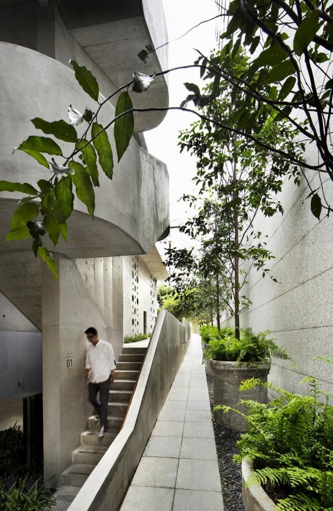 BIM建筑|郁郁葱葱的城市花圃：Design Orchard 孵化器 / WOHA