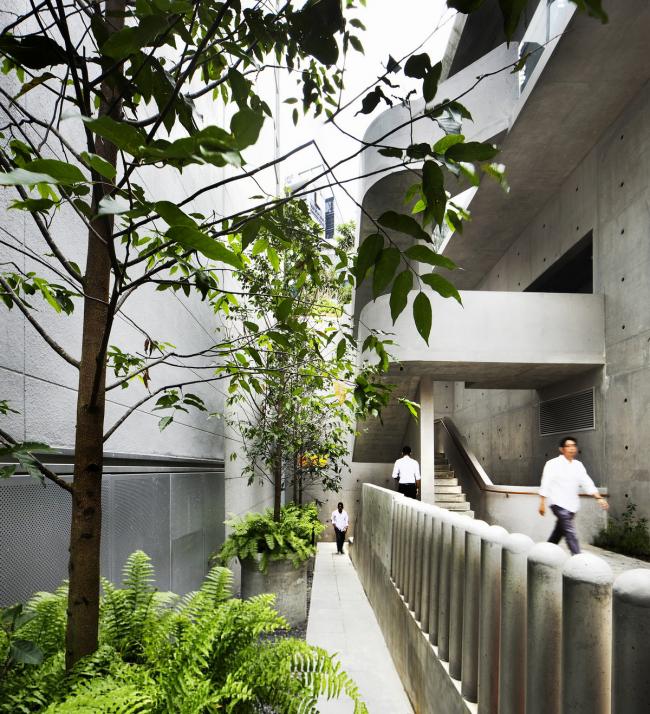 BIM建筑|郁郁葱葱的城市花圃：Design Orchard 孵化器 / WOHA