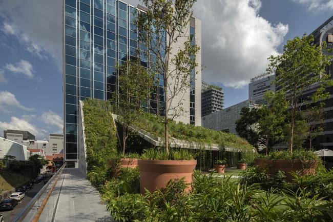 BIM建筑|郁郁葱葱的城市花圃：Design Orchard 孵化器 / WOHA