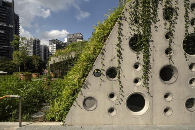 BIM建筑|郁郁葱葱的城市花圃：Design Orchard 孵化器 / WOHA