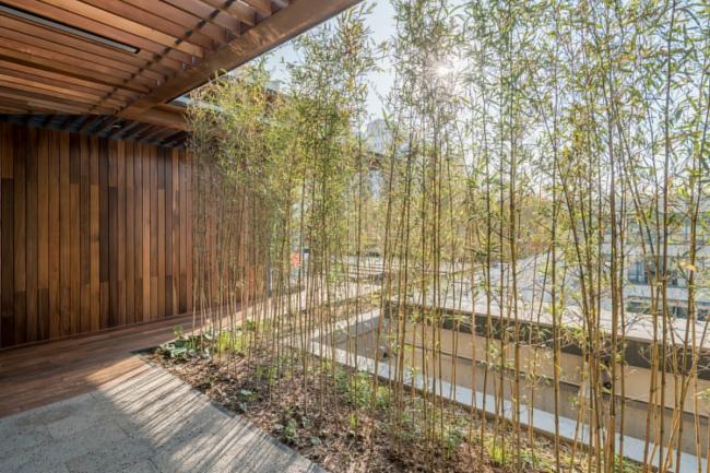 BIM建筑|上海屋上三间 / 致正建筑工作室