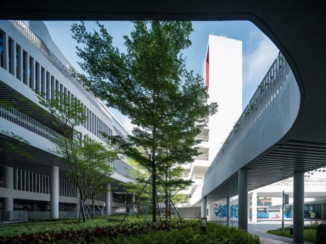 BIM建筑|深圳前海三小 (荔湾小学) / 深圳年夜学建筑设计研讨院·元本体工作室